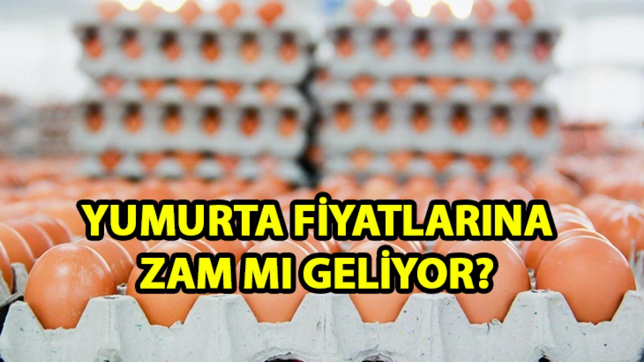 Yumurta fiyatlarına zam mı geliyor? ABD’ye 15 bin tonluk ihracatta son durum!