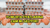 Yumurta fiyatlarına zam mı geliyor? ABD’ye 15 bin tonluk ihracatta son durum!