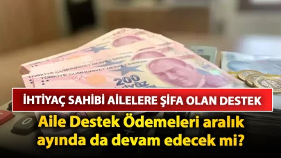 İhtiyaç sahibi ailelere şifa olan destek: Aile Destek Ödemeleri aralık ayında da devam edecek mi? İşte, ödeme takvimi ve sorgulama ekranı…