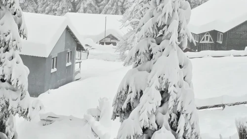 KAR KAPIDA! İstanbul’a kar yağacak mı, meteoroloji uzmanları ne diyor?